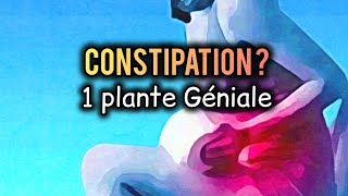 CONSTIPATION  CETTE PLANTE EST UTILE [upl. by Mcclenon]