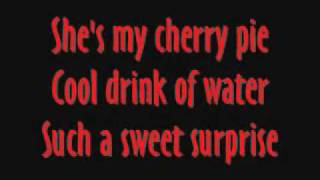 I Cant Help Myself Sugar Pie Honey Bunch By Four Tops Lyrics [upl. by Lasky]