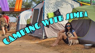 Camping near a lake with Simba The Pug [upl. by Oiratno]