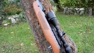 Weihrauch HW50S BSA Essencial 412x44 AO MilDot AIRGUN 45mm update anakondaTV [upl. by Aniat]