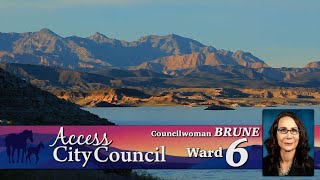 Access City Council Ward 6 Councilwoman Nancy Brune [upl. by Nnyliak]