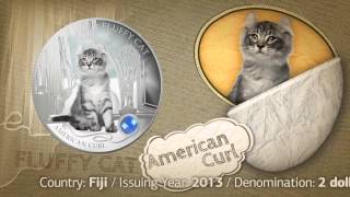 Dogs and Cats Fiji 2013 Silver Coin American Curl first coin in Fluffy Cats series [upl. by Oech854]