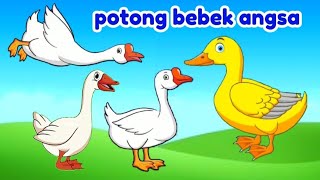 potong bebek angsa  lagu anak  lagu anak indonesia balita bontotkidschannel [upl. by Petrine135]