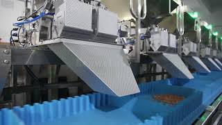 Multiple Linear Weigher Mixing Formula Weighing System [upl. by Ekenna337]