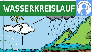 Wasserkreislauf  Begriff Ablauf Prozesse amp Globaler Kreislauf einfach erklärt  Ökologie  Bio [upl. by Frear]