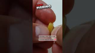 Effective and Practical Method for Carp Fishing  Fishing Tips fishing carpfishing [upl. by Yenahc]