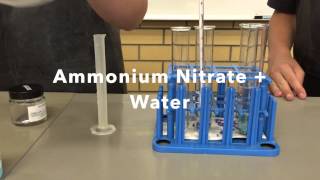 Endothermic and Exothermic Reactions [upl. by Gnoud]