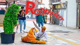 Bushman with Tiger and talking dog prank  Opps Funny moments [upl. by Nosille]