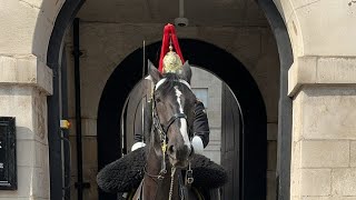 Famous kings guard Blues and royals on duty today [upl. by Tore]