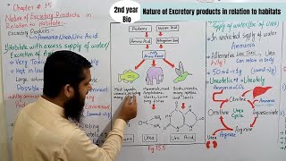 Excretion in animals  nature of excretory products in relation to habitats  Lec 22 [upl. by Alleoj241]