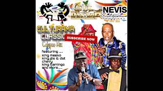 Nevis Culturama Classic Calypso Mix 2024  DJ Doctor P [upl. by Schechinger]