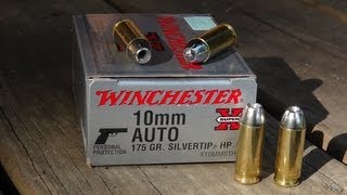 10mm Winchester Silvertip Ammo Test [upl. by Adnoyek1]