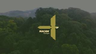 MACAW LODGE COSTA RICA [upl. by Eiclehc]