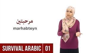 Survival Arabic Lesson 01  Greetings – How to say Hello in Arabic [upl. by Madanhoj257]