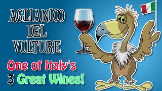 Time to Taste one of Italys Top 3 Wines  Aglianico Del Vulture [upl. by Beverlee]