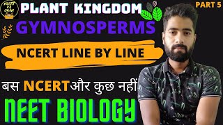 GymnospermsPlant KingdomBiology class 11th Ncert  Neet biologyPlant Kingdom [upl. by Lleinad]