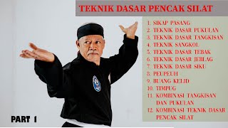 How to learn pencak silat  Basic Silat Techniques PART 1 pencak silat [upl. by Ellwood]