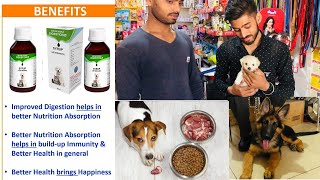 Long and Happy Life  The Importance of Digestive Enzymes Health for Dogs and Cats BholaShola [upl. by Nya]