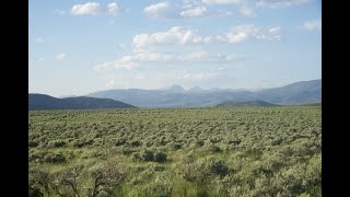 An intro to Sagebrush ecosystems and Basin Big Sagebrush [upl. by Eustis]