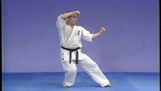 Karate kyokushin kata pinan sono 12345 [upl. by Brandon]