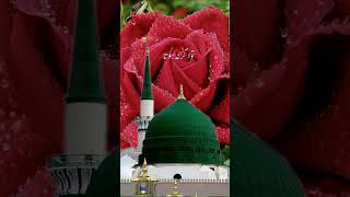 shahe Madina shahe Madina shahe MadinaNaat Sharifnaatsharif viralvideo foryou islamic fypyt [upl. by Melgar]