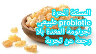 Probiotic طبيعي لجرثومة المعدة سبحان الله المسكة الحرة  اليونانيه [upl. by Werbel476]