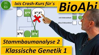 Klassische Genetik 2 Stammbaumanalyse 2  Genotypen begründen bei Xchromosomal rezessiven Erbgängen [upl. by Homere200]