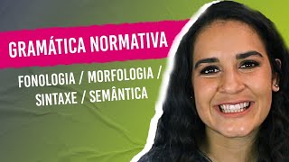 GRAMÁTICA NORMATIVA Fonologia Morfologia Sintaxe Semântica Aprenda a diferenciar [upl. by Orren]