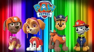 Cabezas Equivocadas Patrulla Canina  Wrong Head Paw Patrol Skye Marshall Chase y Zuma [upl. by Annabella]