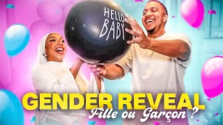 FILLE OU GARÇON  NOTRE GENDER REVEAL maison l HONEYSHAY [upl. by Teraj]