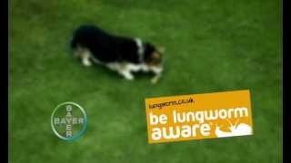 Be Lungworm Aware TV Advert [upl. by Magna]