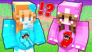 OMZ Baby Birthday vs ROXY Baby Birthday GIRLS PREGNANT in MinecraftCrystal and Lily [upl. by Weatherley262]