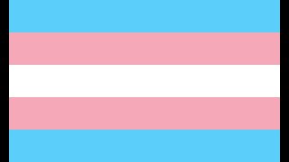 trans  transsexuell Wie bekomme ich in Österreich ein Gutachten [upl. by Farika895]