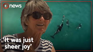 Swimmers ‘lifechanging experience’ with orca off Coromandel beach  1News [upl. by Anna-Maria]