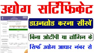 Udyog Aadhar Certificate Kaise Download Karen 2024  MSME certificate download kaise kare [upl. by Yekcaj]