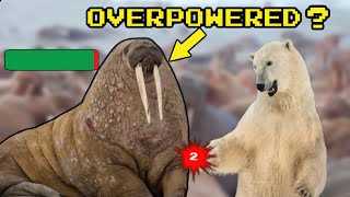 Are Walrus OP [upl. by Eliak]