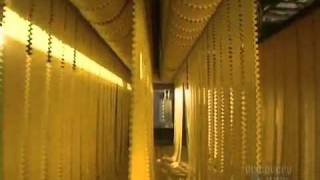 Making of pasta made in Factories [upl. by Cioban107]