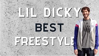 Lil Dicky Freestyle Compilation Best Freestyles [upl. by Erlene]