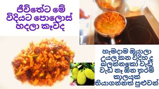 ජීවිතේට මේ විදියට පොලොස් හදලා කෑවද [upl. by Bar17]