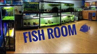 Fish Room Tour July 2020 [upl. by Puritan]