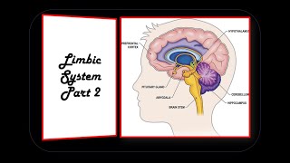 LIMBIC SYSTEM PART 2 [upl. by Hak]