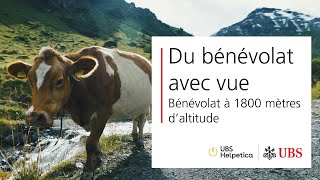 Action de bénévolat à 1800 mètres d’altitude  UBS Helpetica [upl. by Noremac]