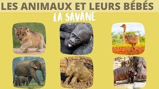 Les animaux de la savane et leurs bébés [upl. by Nirrep]