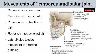 Movements of Temporomandibular Joint  Axes of Movements  Muscles producing the Movements with AA [upl. by Llerdna873]