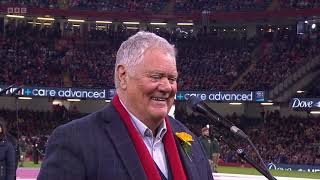 Singing with Max Boyce at the 6 Nations  Wales v France [upl. by Colton]