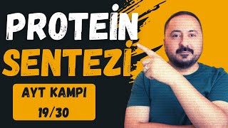 Genetik ŞifreProtein Sentezi  30 Derste AYT Biyoloji Kampı 19Ders  2025  Cici Biyoloji [upl. by Orodisi956]