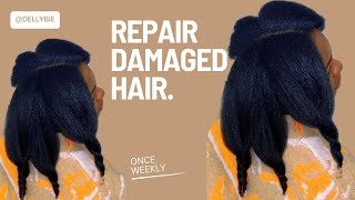 Repair Any Damaged Natural Hair at Home using this ONE Ingredient Tipsforlongerhair [upl. by Onitsuaf]