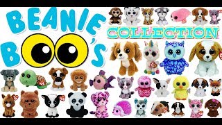 Mega Beanie Boo Collection 30  Beanie Boos with Names [upl. by Mcculloch]