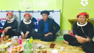 Yến Loan các cô nàng lùng tảo [upl. by Flanagan584]