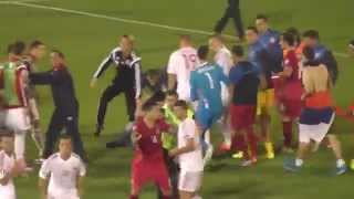 Serbia vs Albania Euro 2016 Qualifier Abandoned Due to Fan [upl. by Nyrac339]